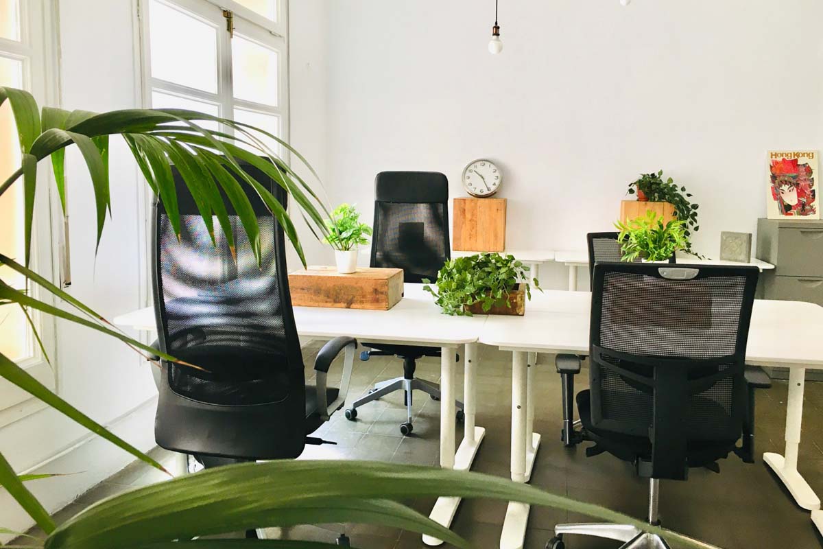 Mesa con sillas y plantas situada en CREC Coworking